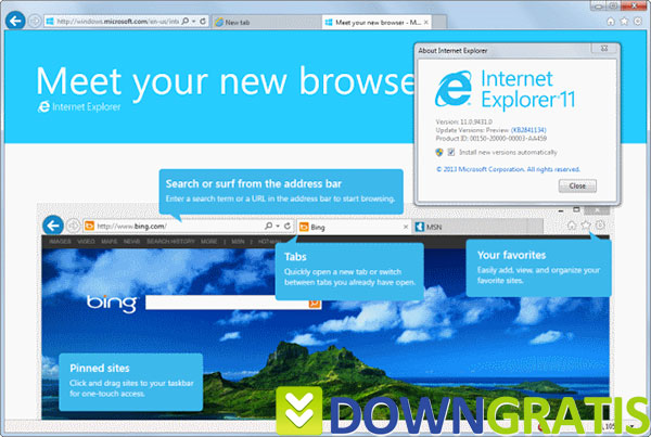 Tela do Internet Explorer 11