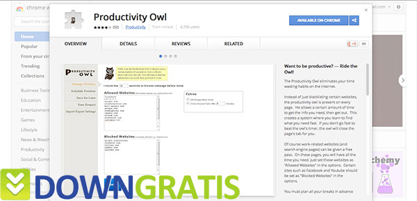 Tela do Productivity Owl 